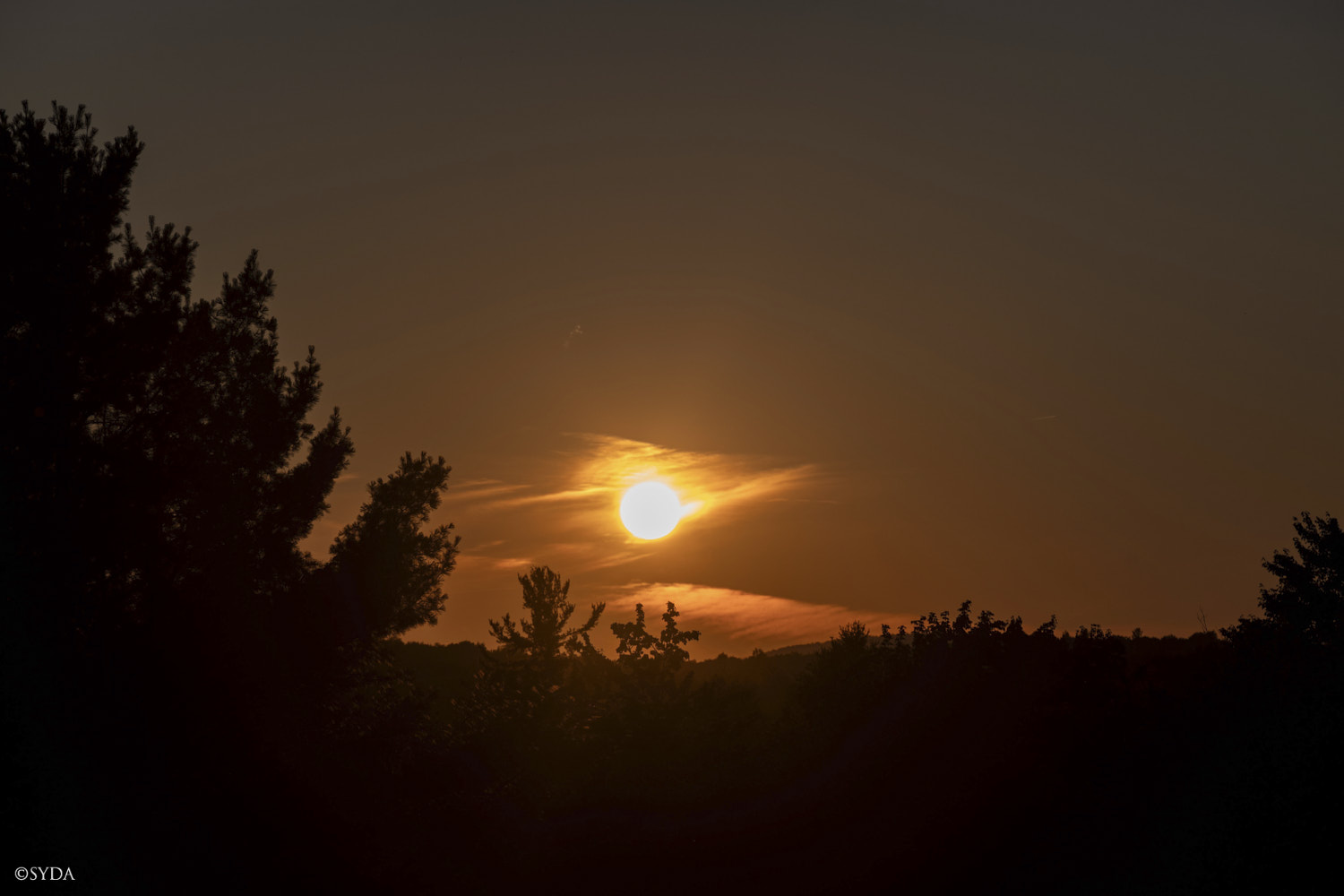 Nature Image