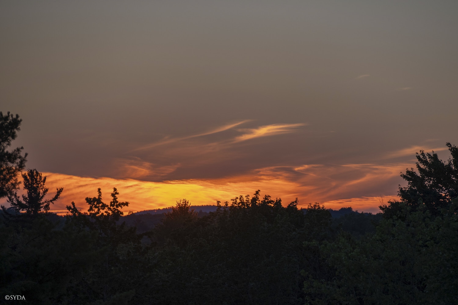 Nature Image