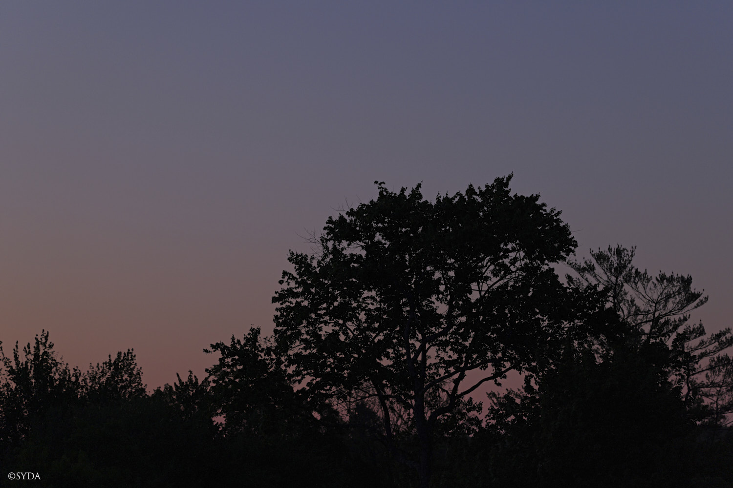 Nature Image