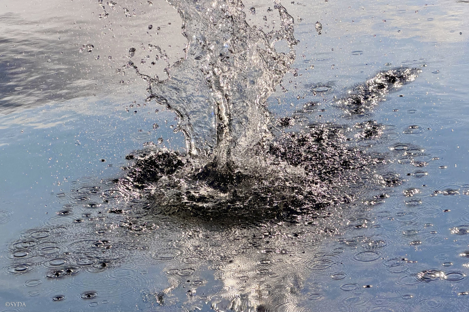 Nature Image