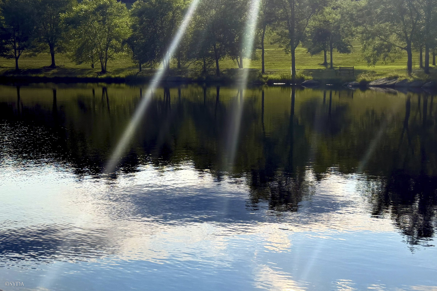 Nature Image