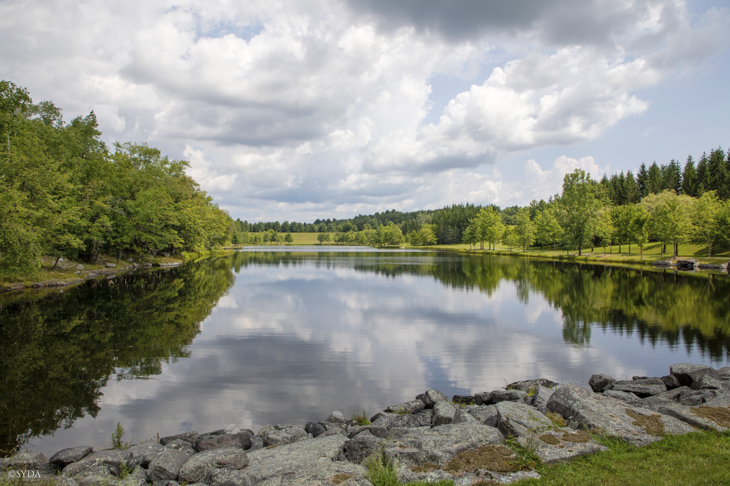 Nature Image