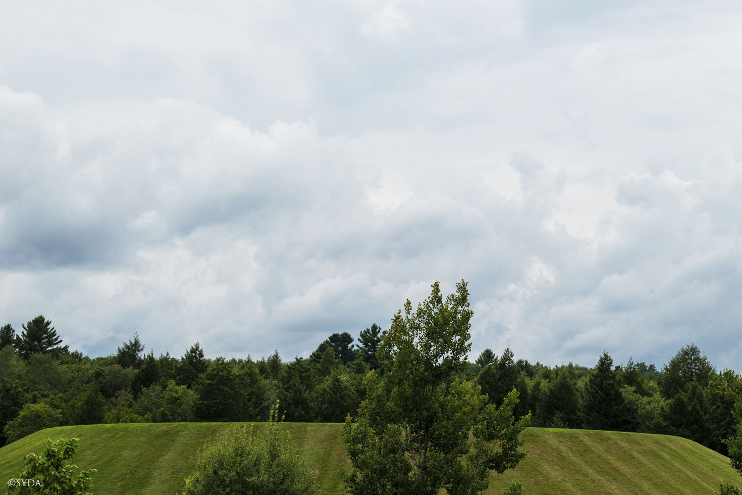 Nature Image