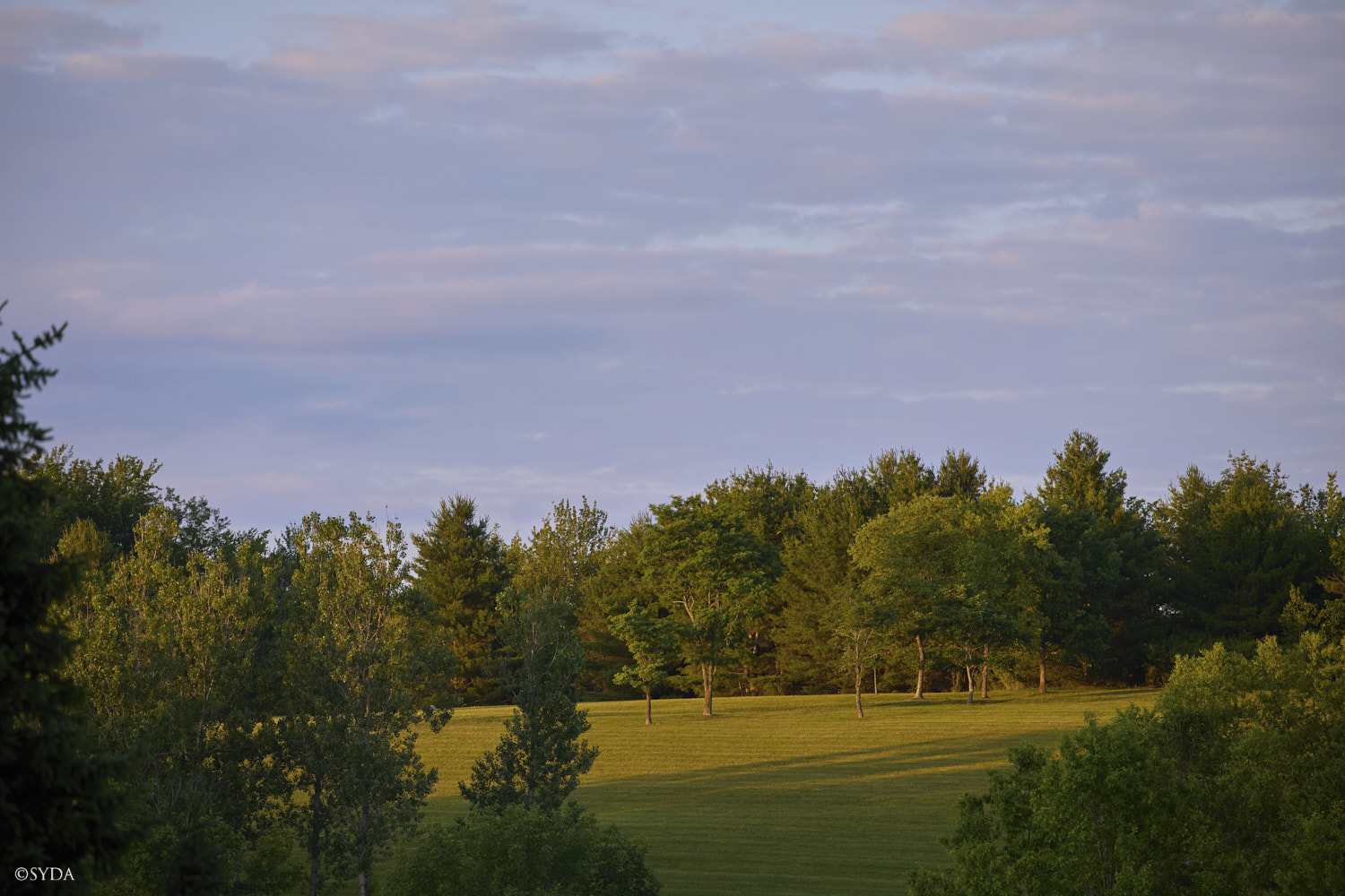 Nature Image