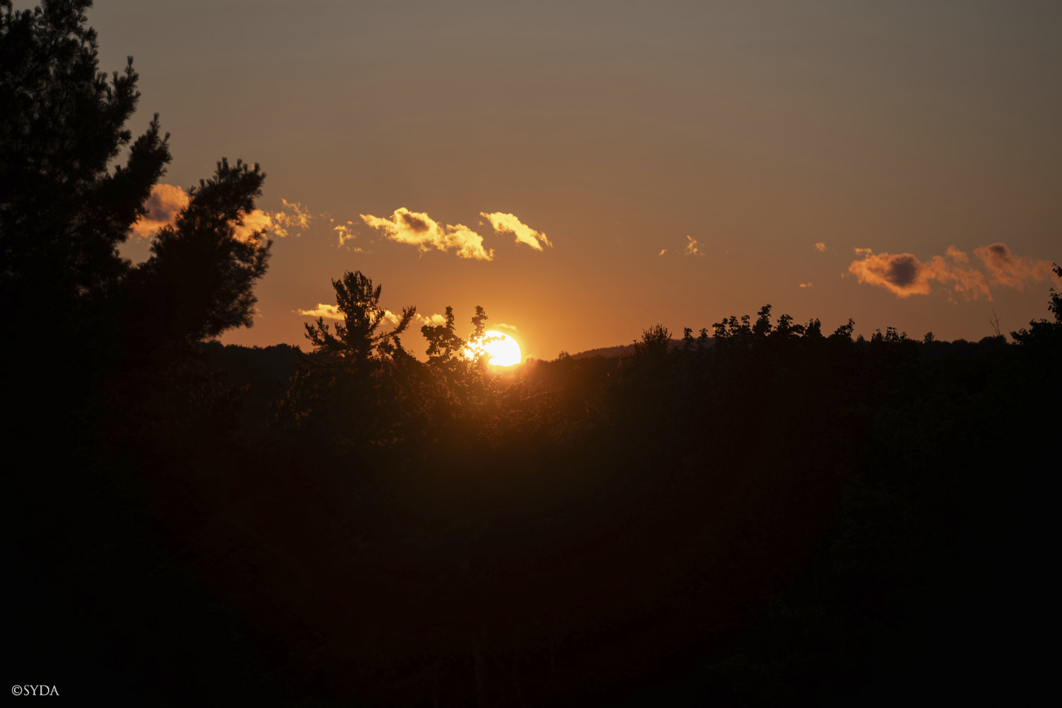 Nature Image