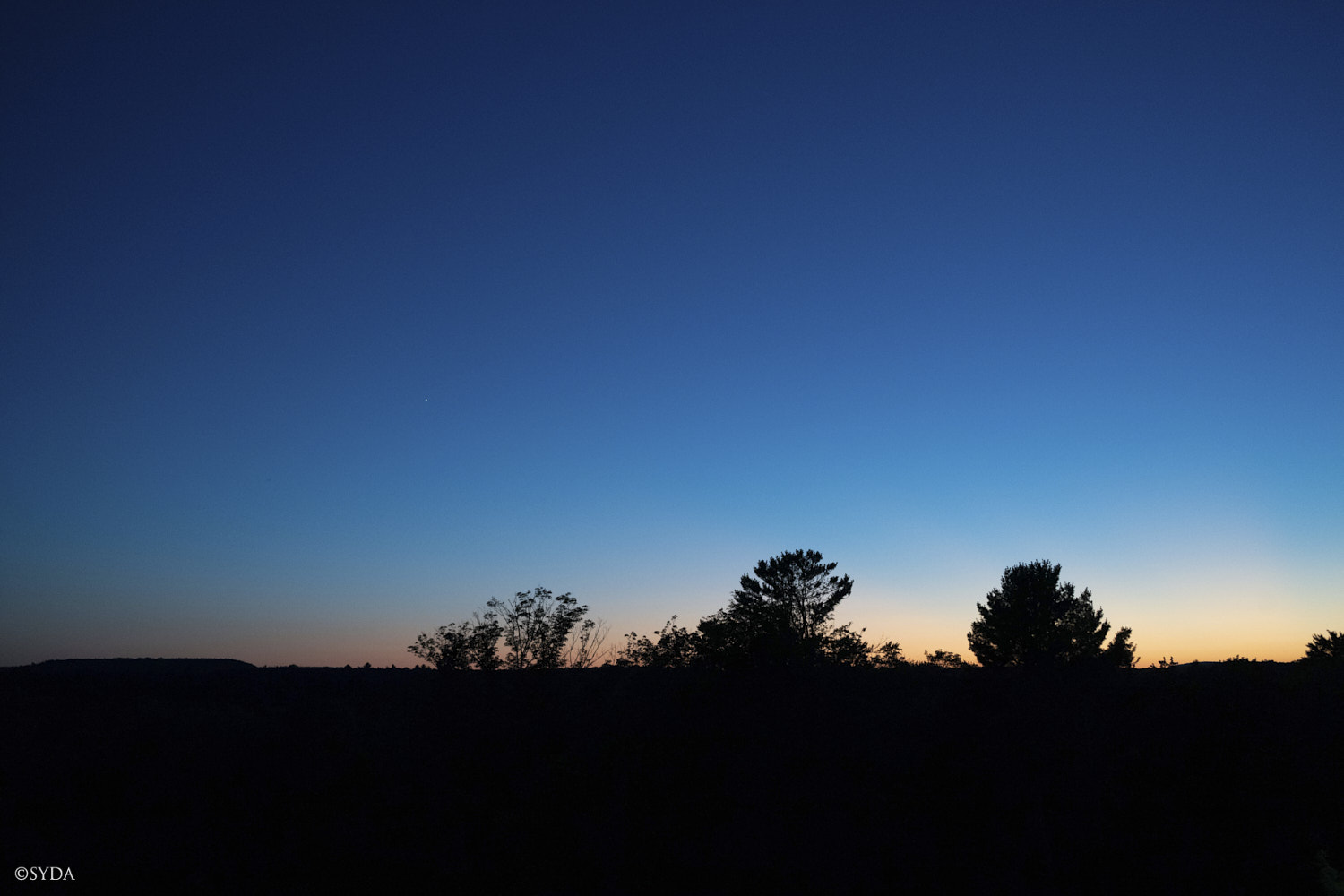 Nature Image