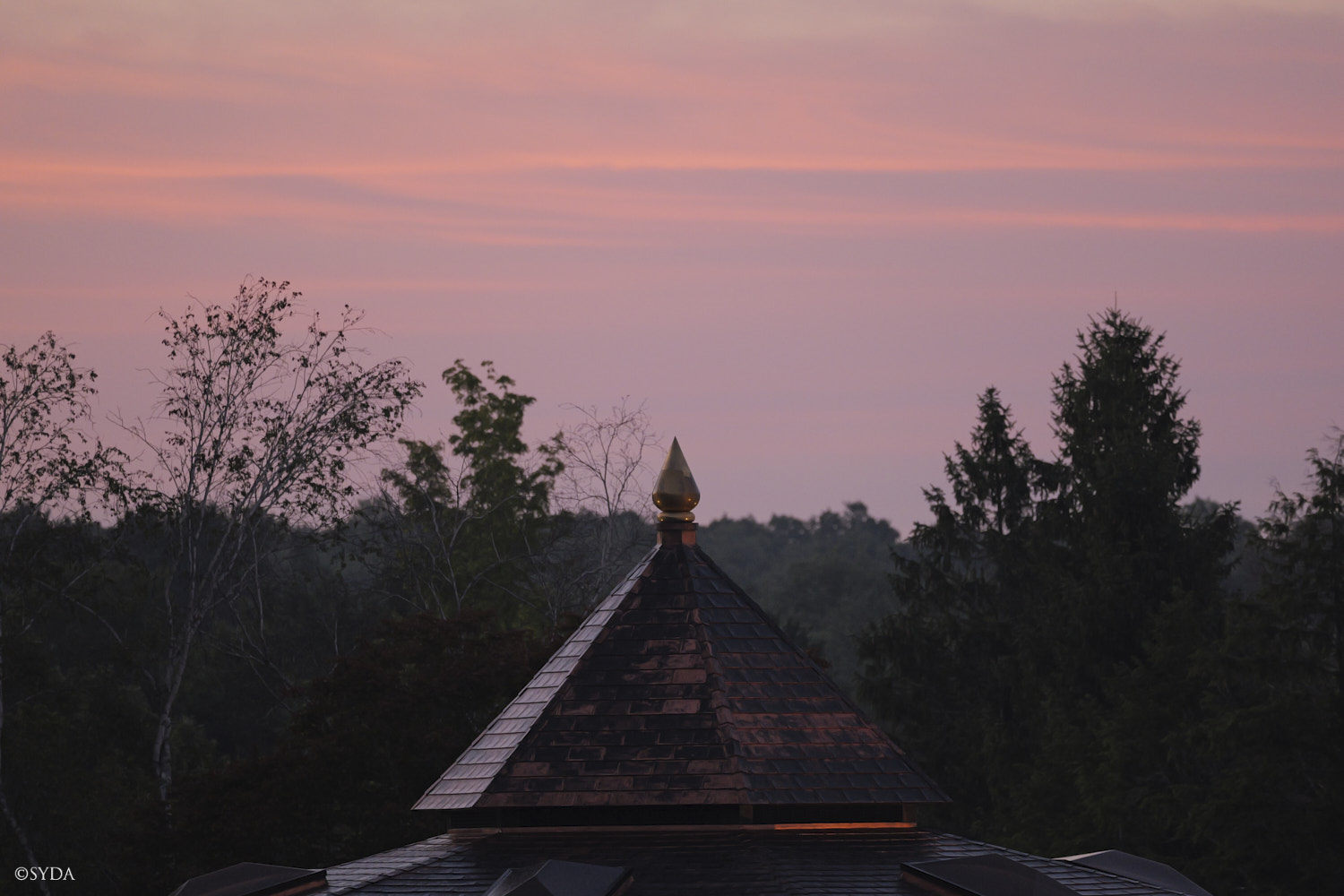 Nature Image