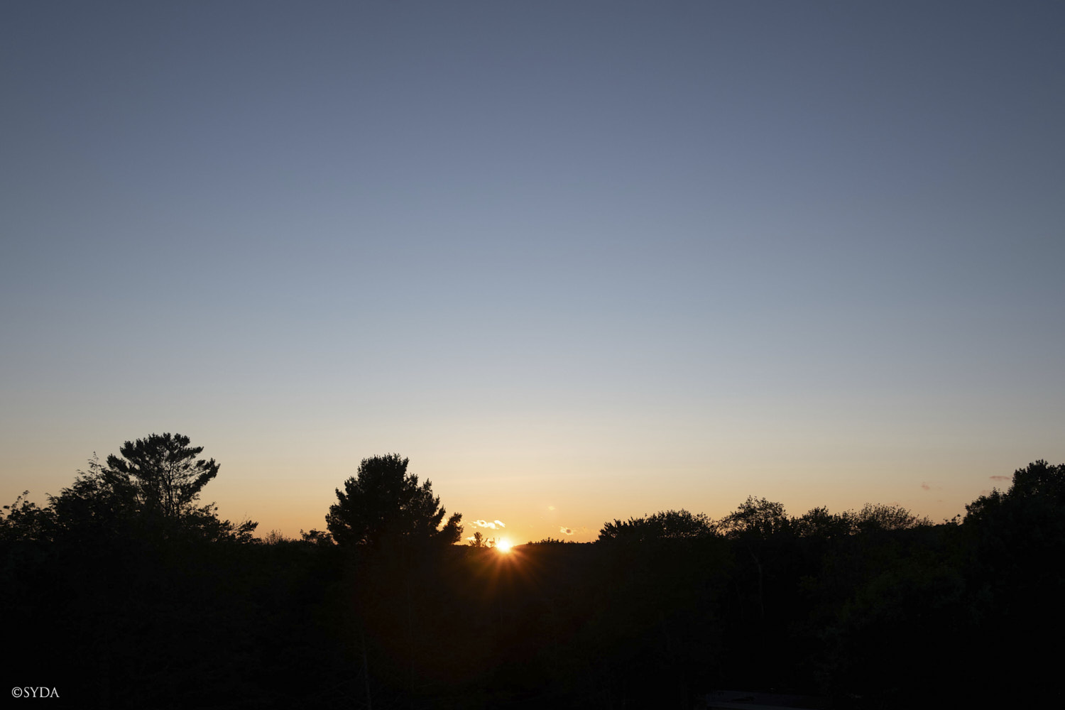 Nature Image