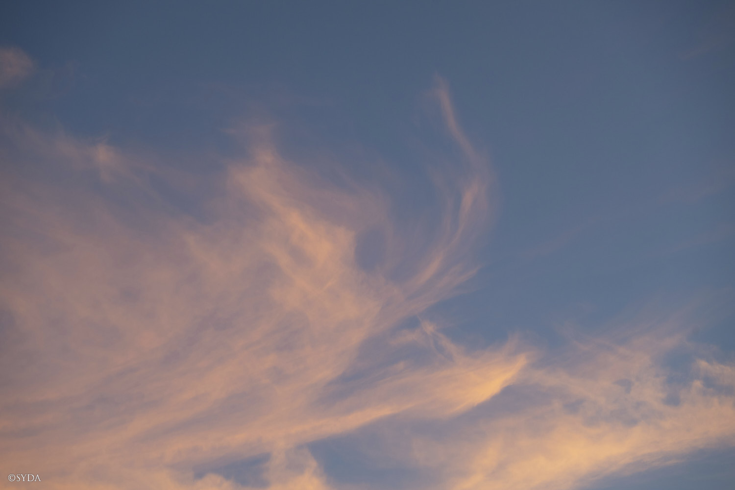 Nature Image