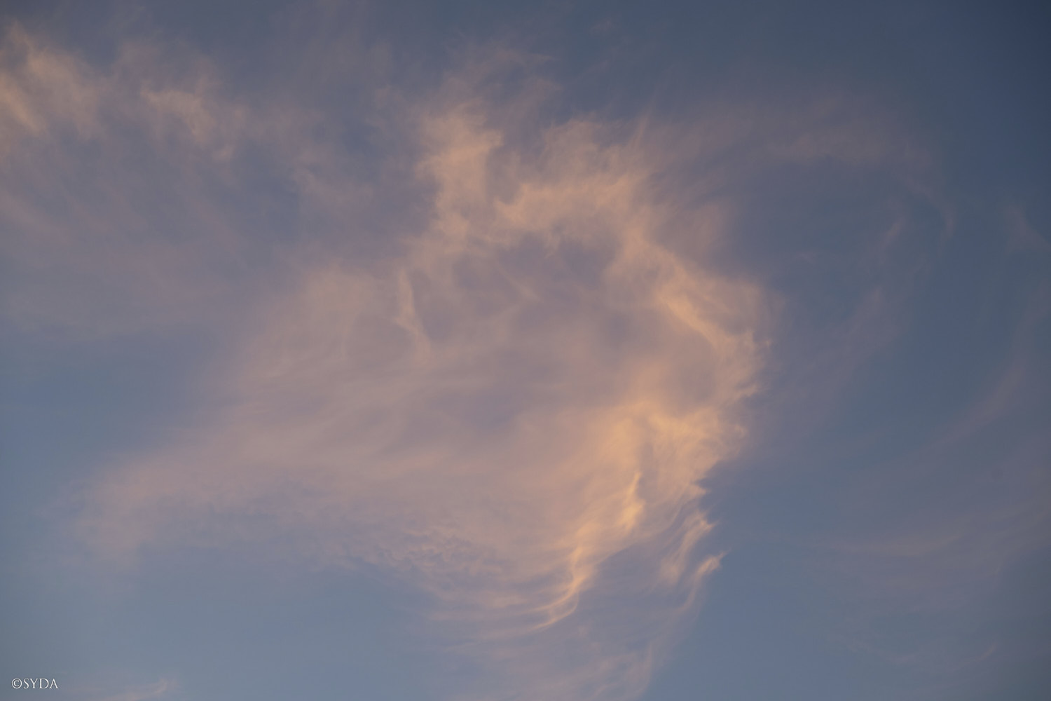 Nature Image