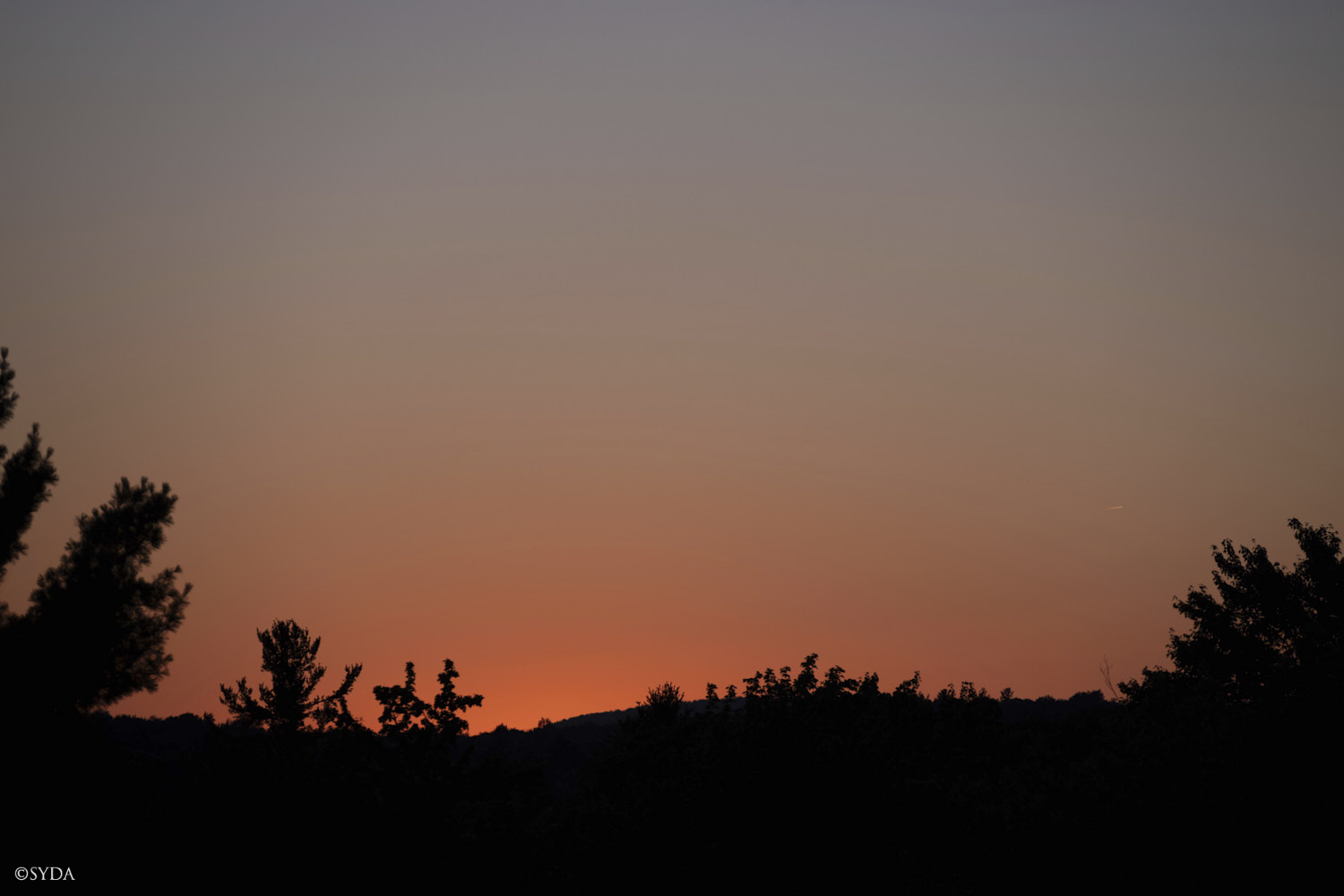 Nature Image