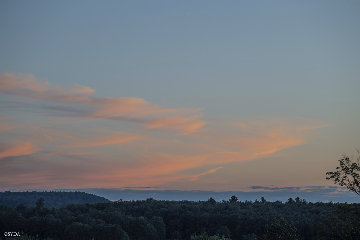 Nature Image