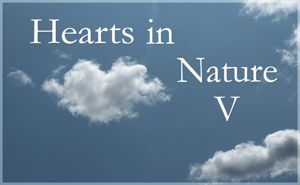 Hearts in Nature Gallery V