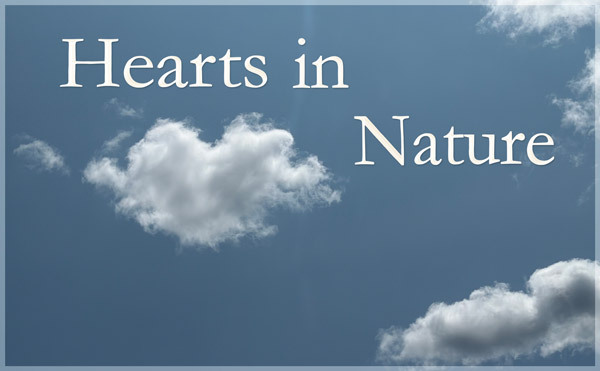 Hearts in Nature