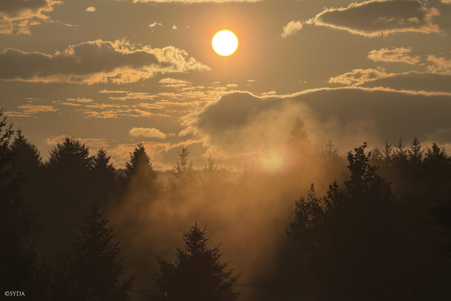 Nature Image