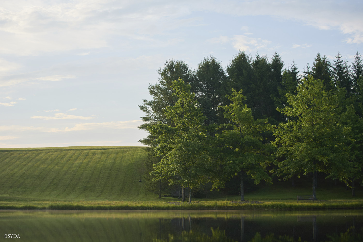 Nature Image