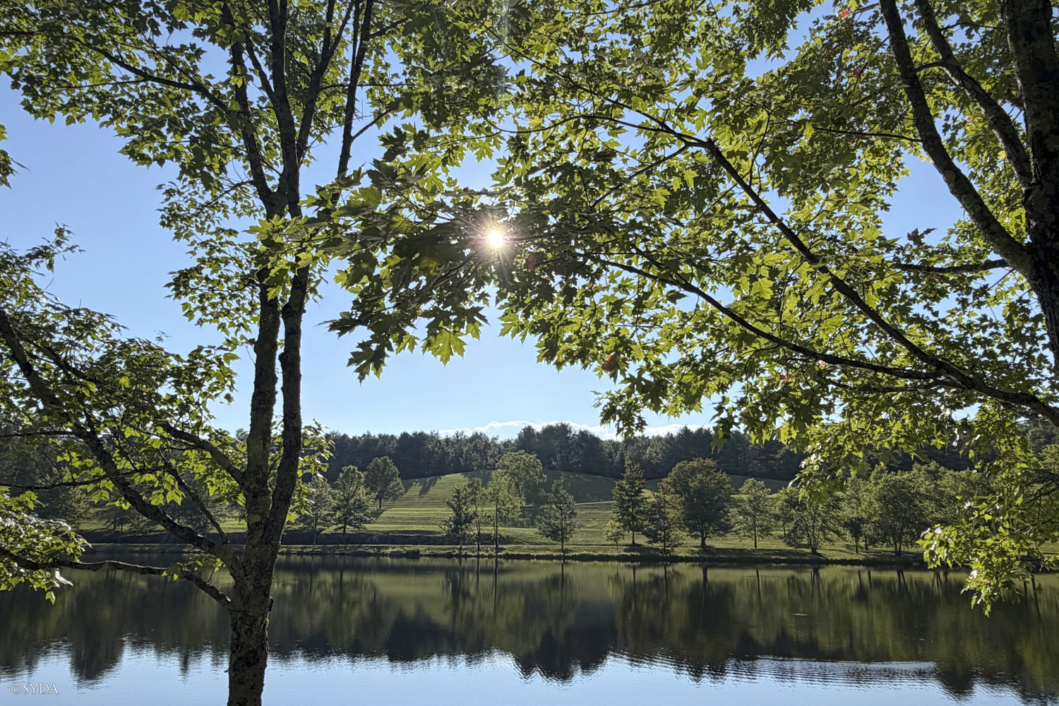 Nature Image