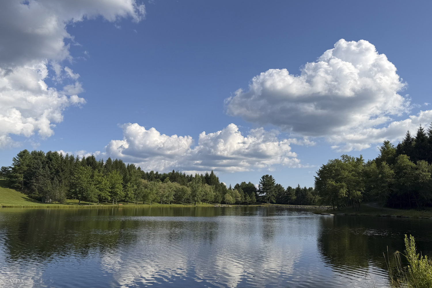 Nature Image