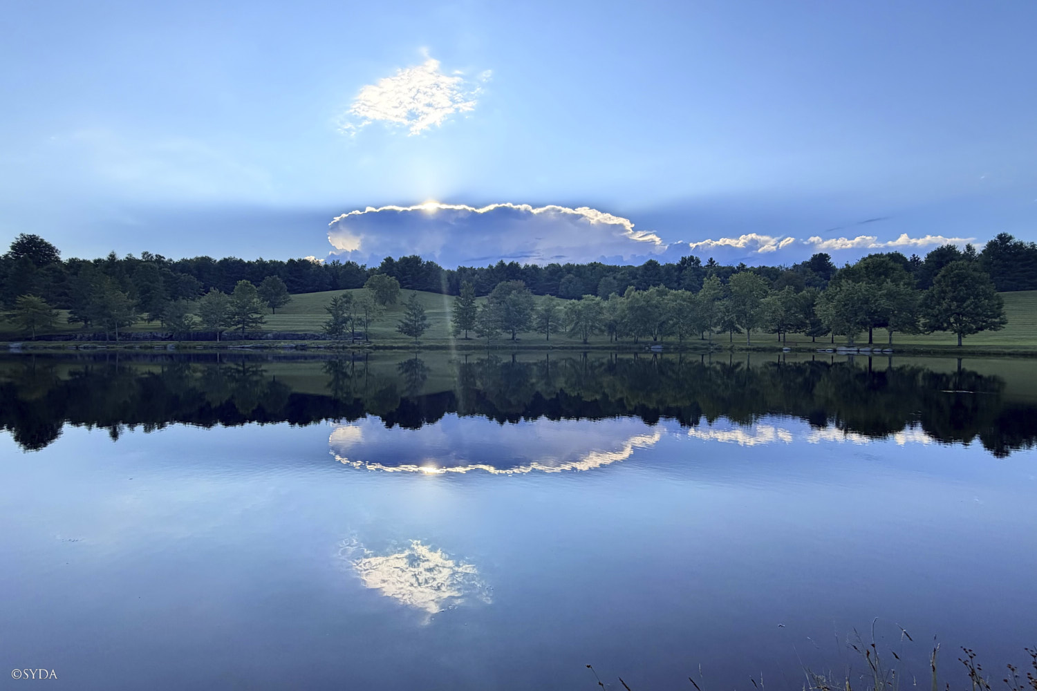 Nature Image