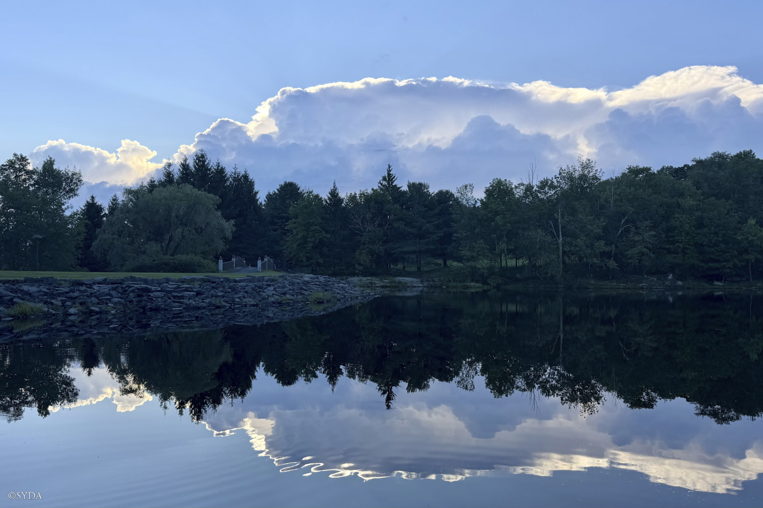 Nature Image