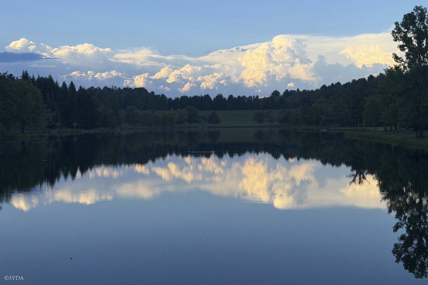 Nature Image