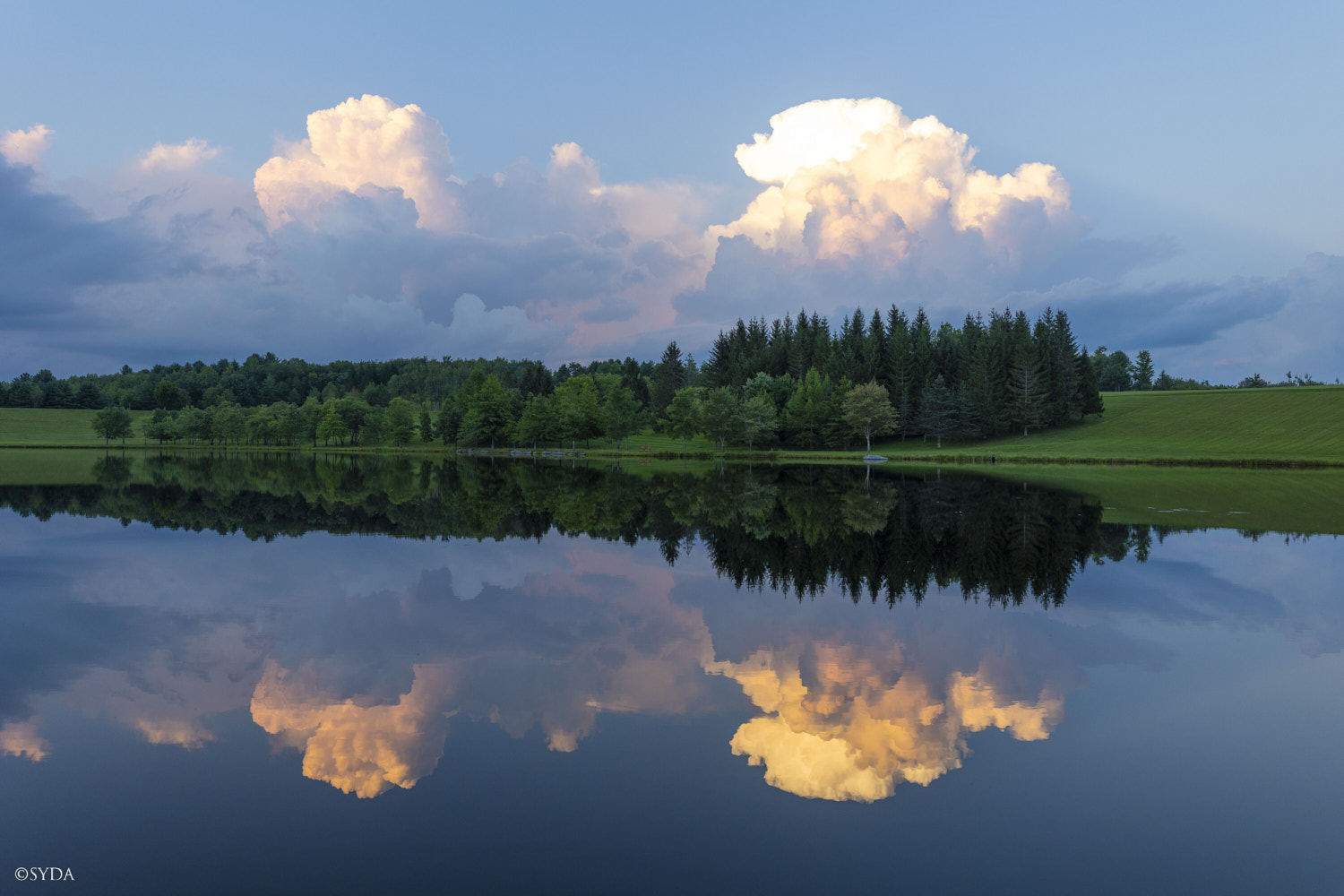 Nature Image