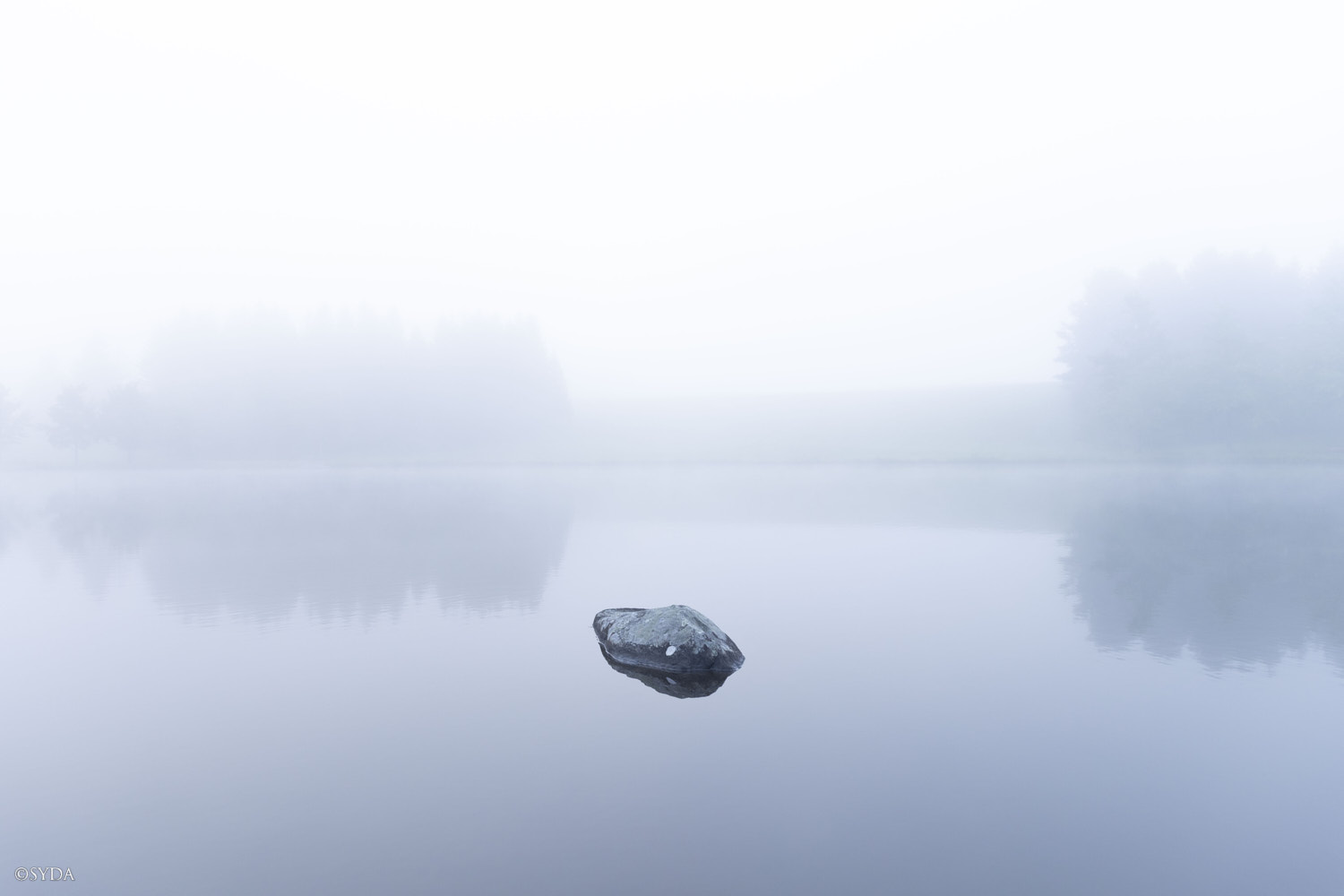 Nature Image