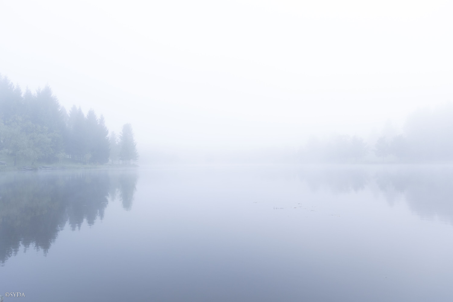 Nature Image