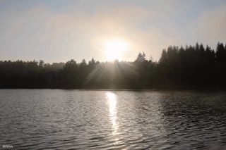Nature Image