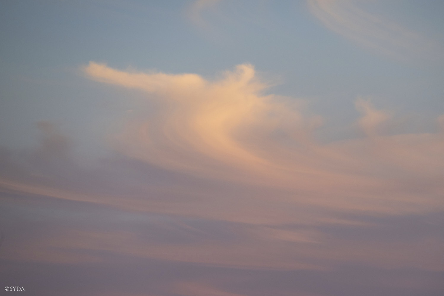 Nature Image
