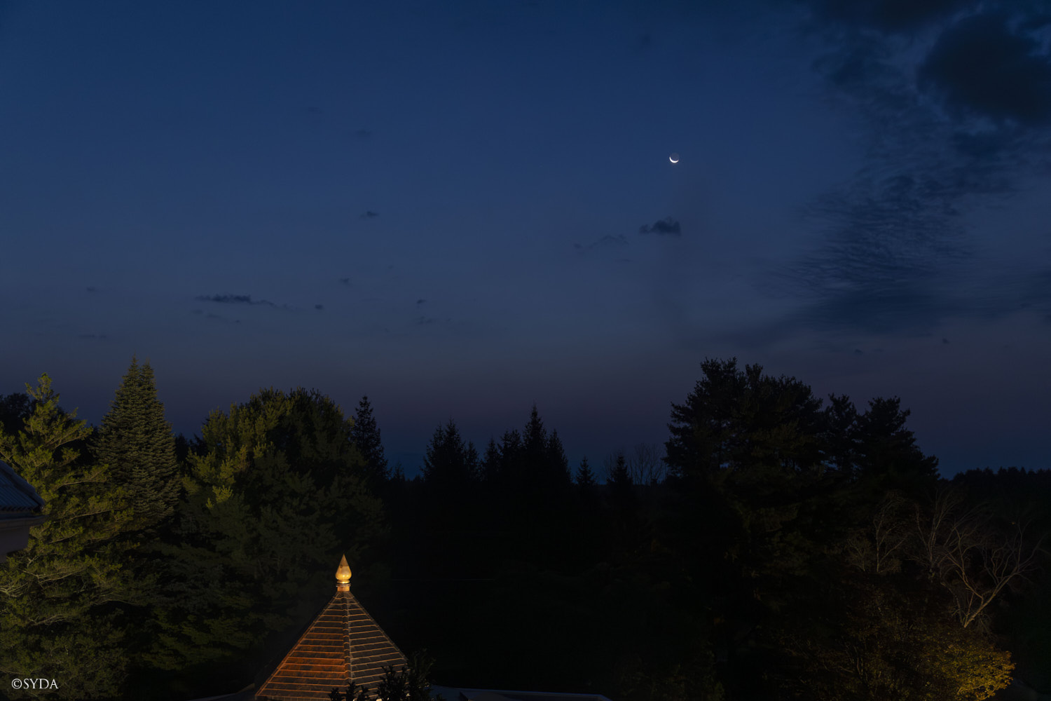Nature Image
