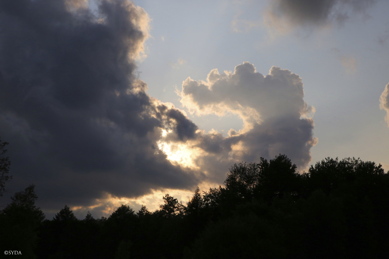 Nature Image