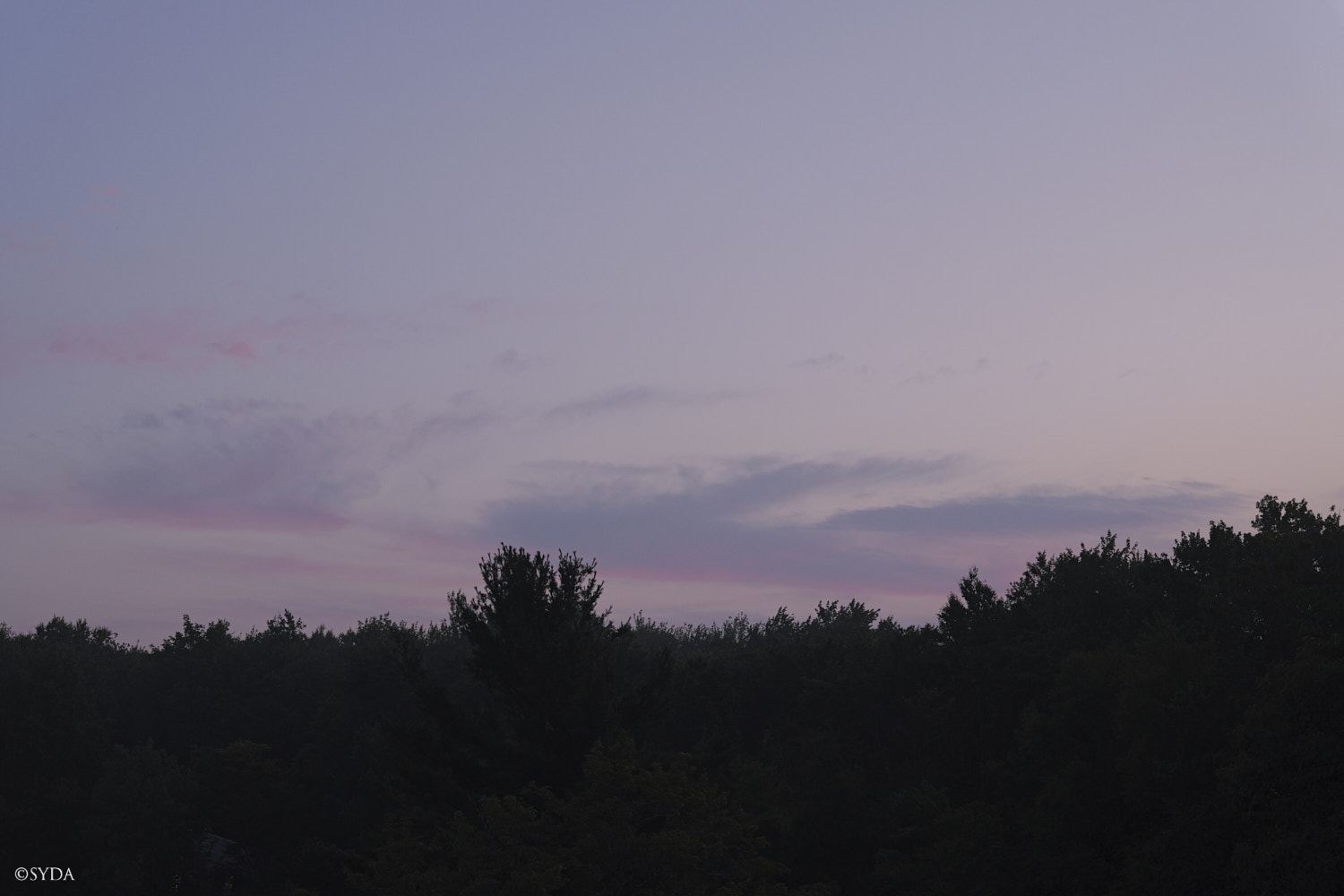 Nature Image