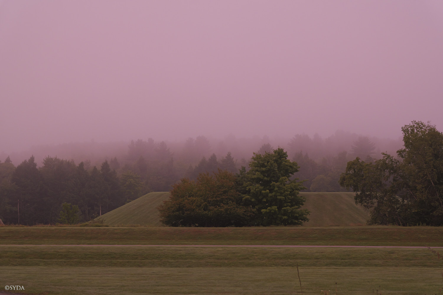 Nature Image