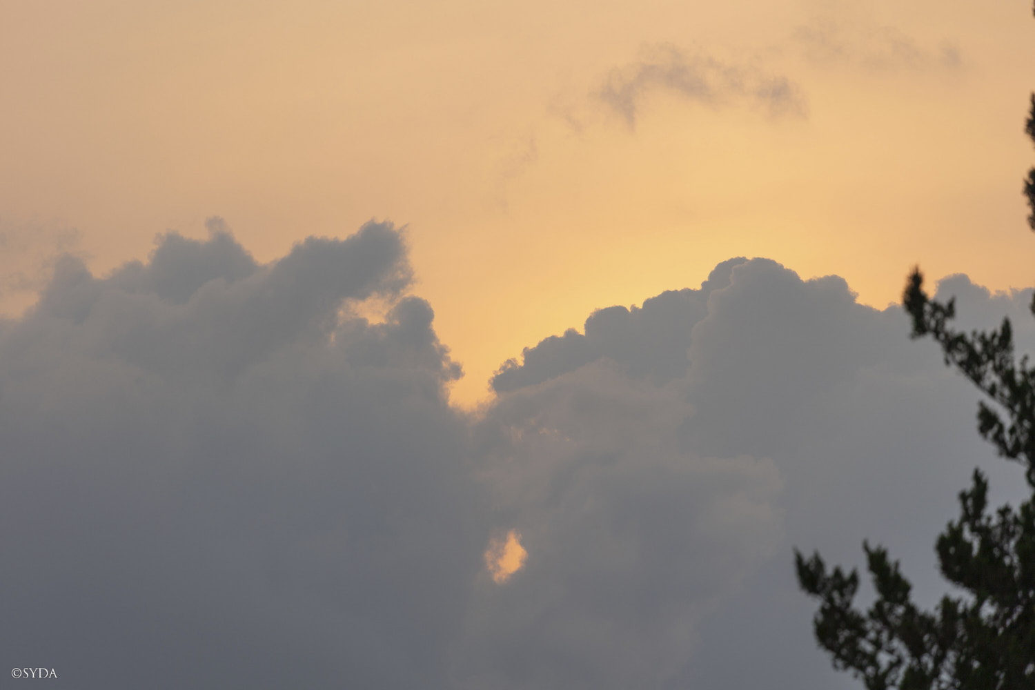 Nature Image