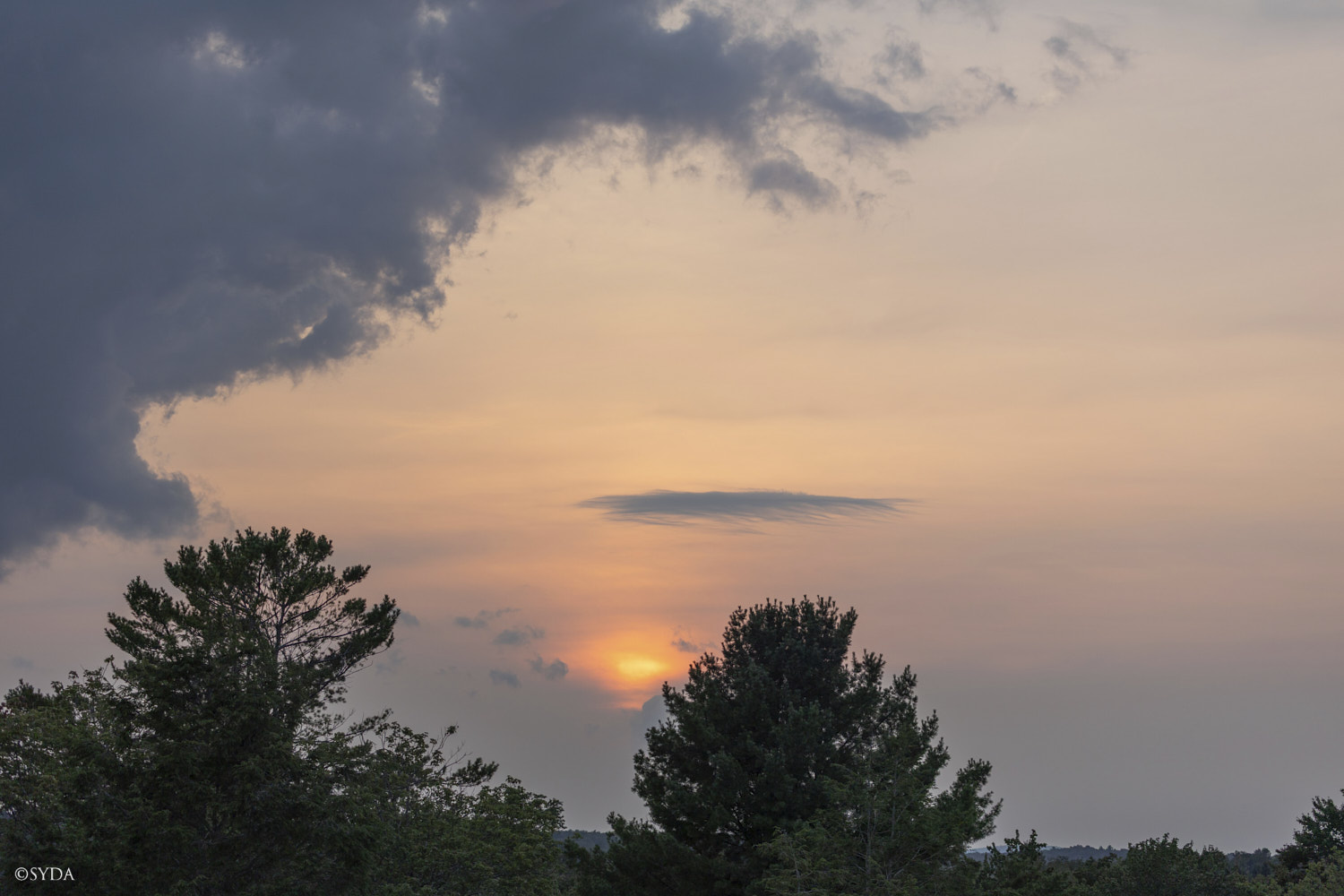 Nature Image