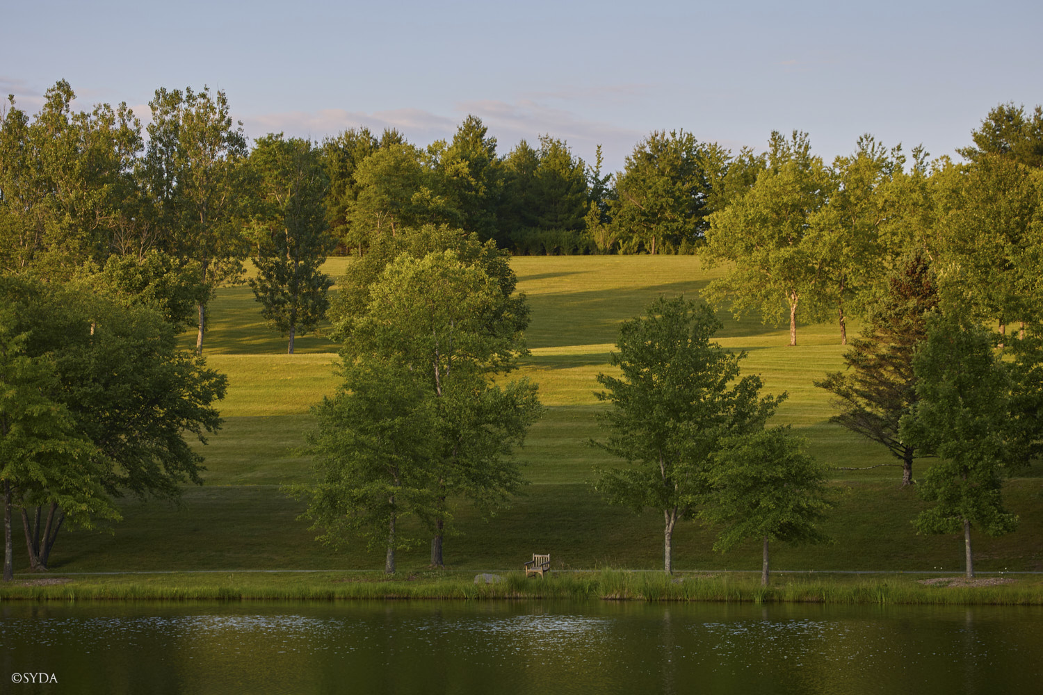 Nature Image