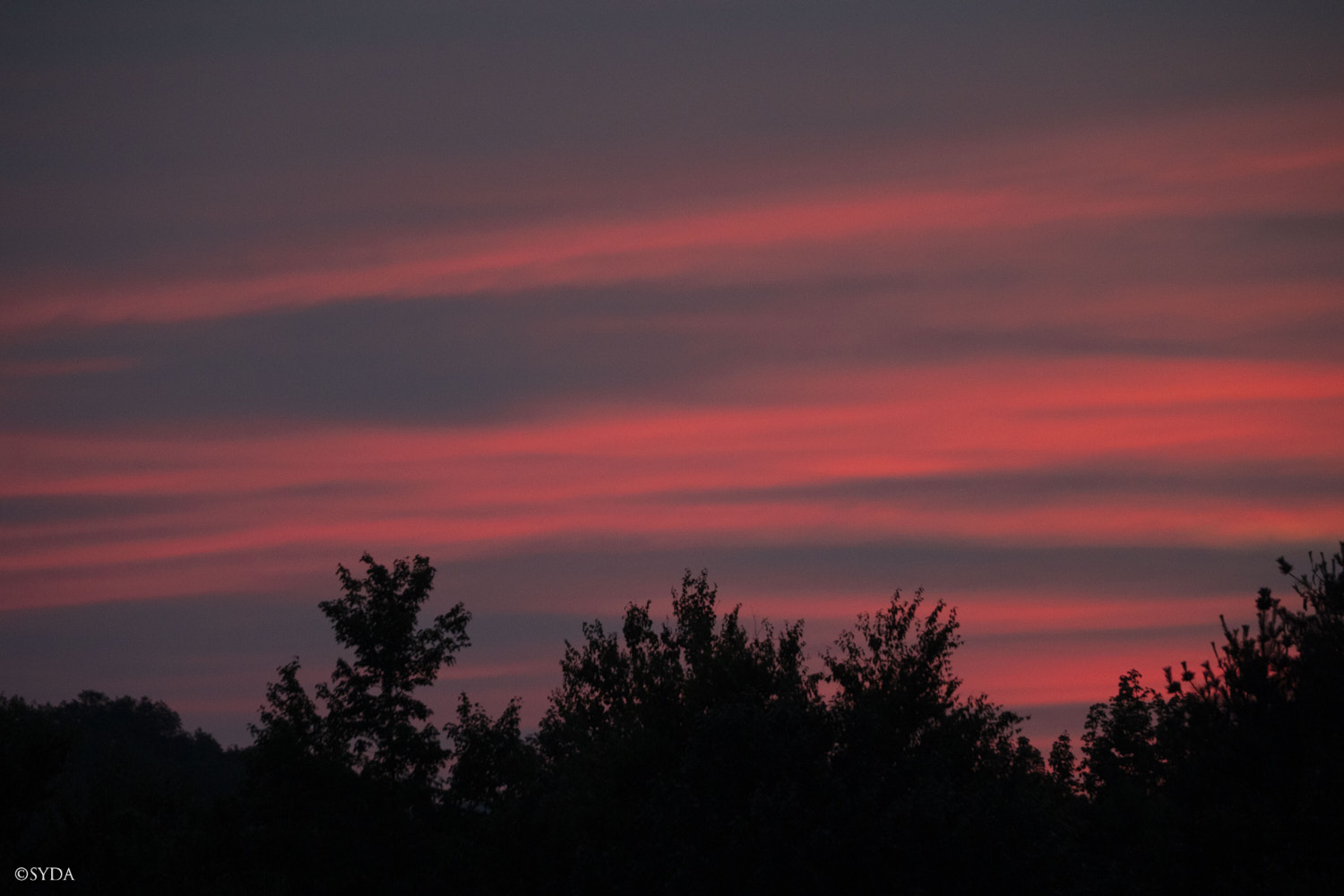 Nature Image