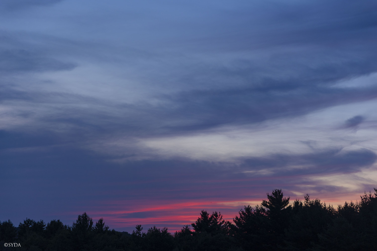Nature Image