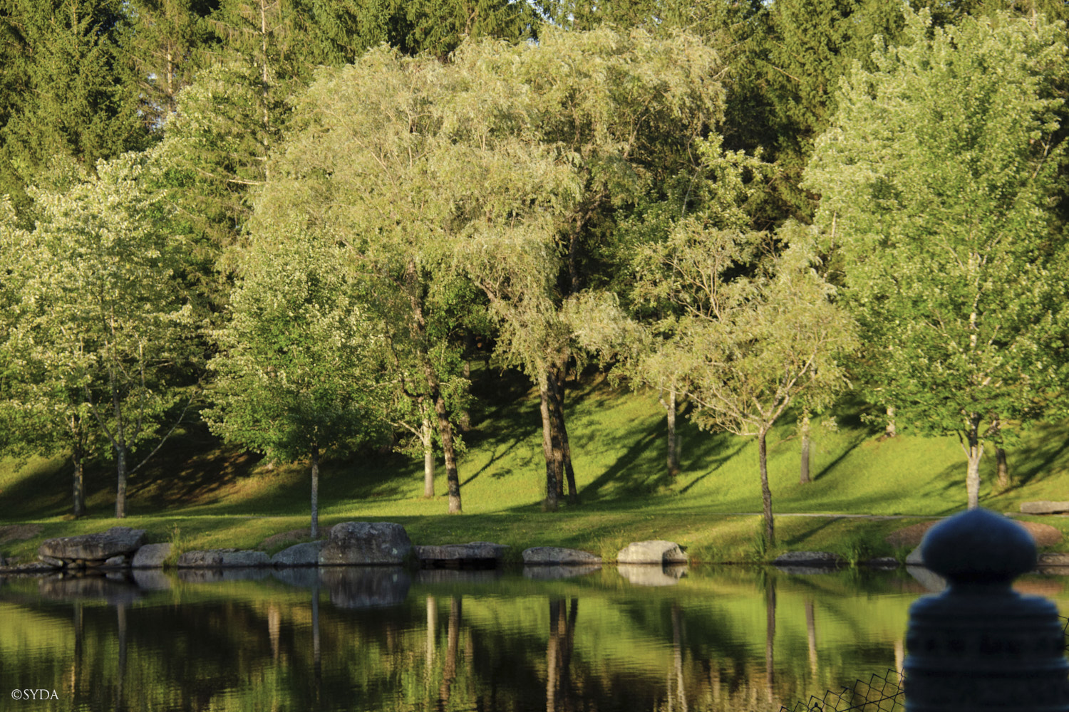 Nature Image