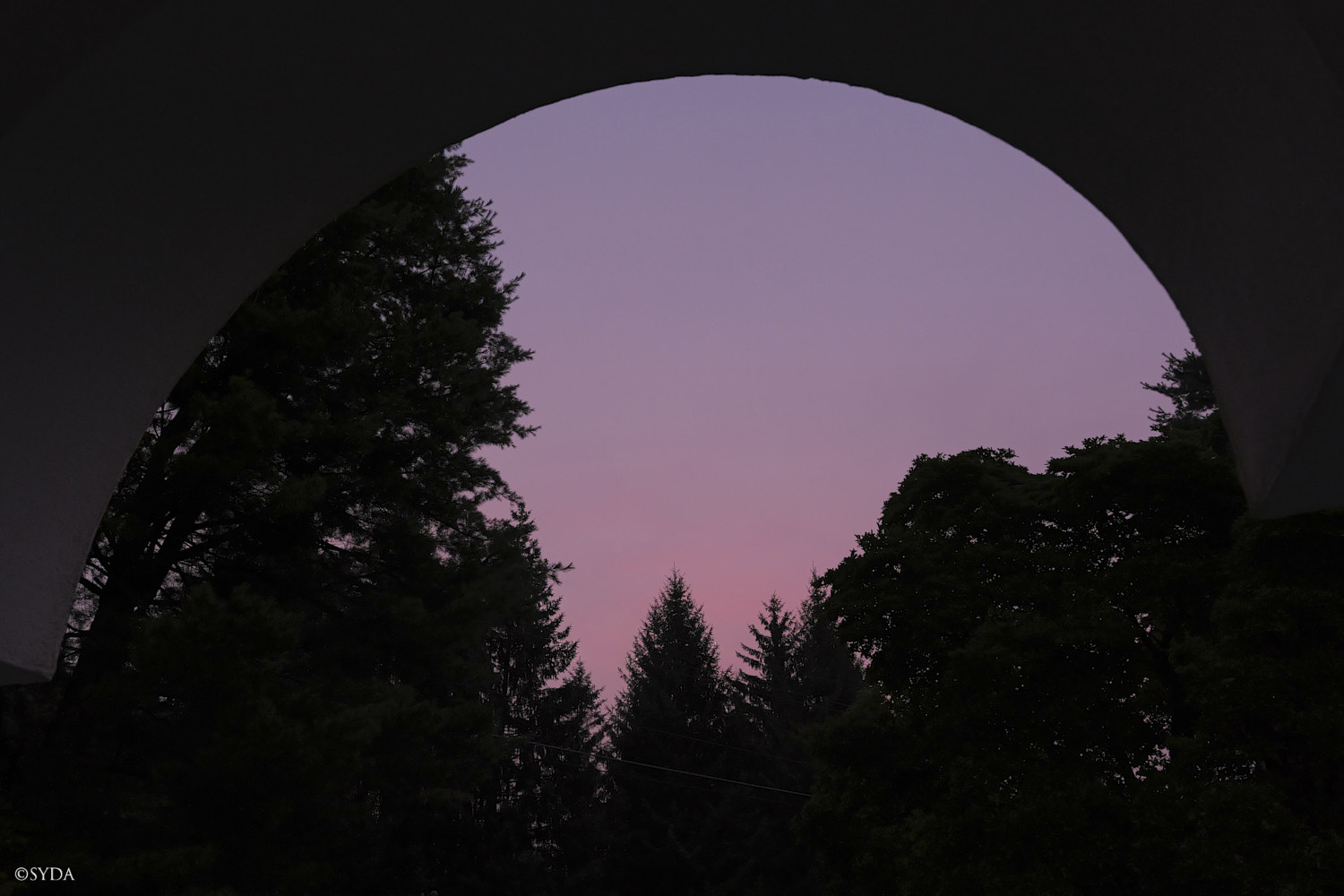 Nature Image