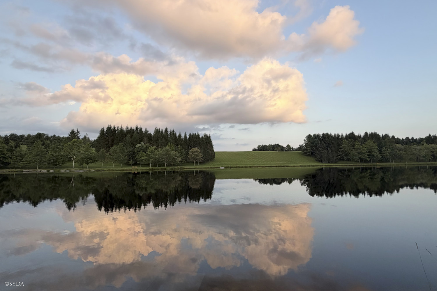 Nature Image