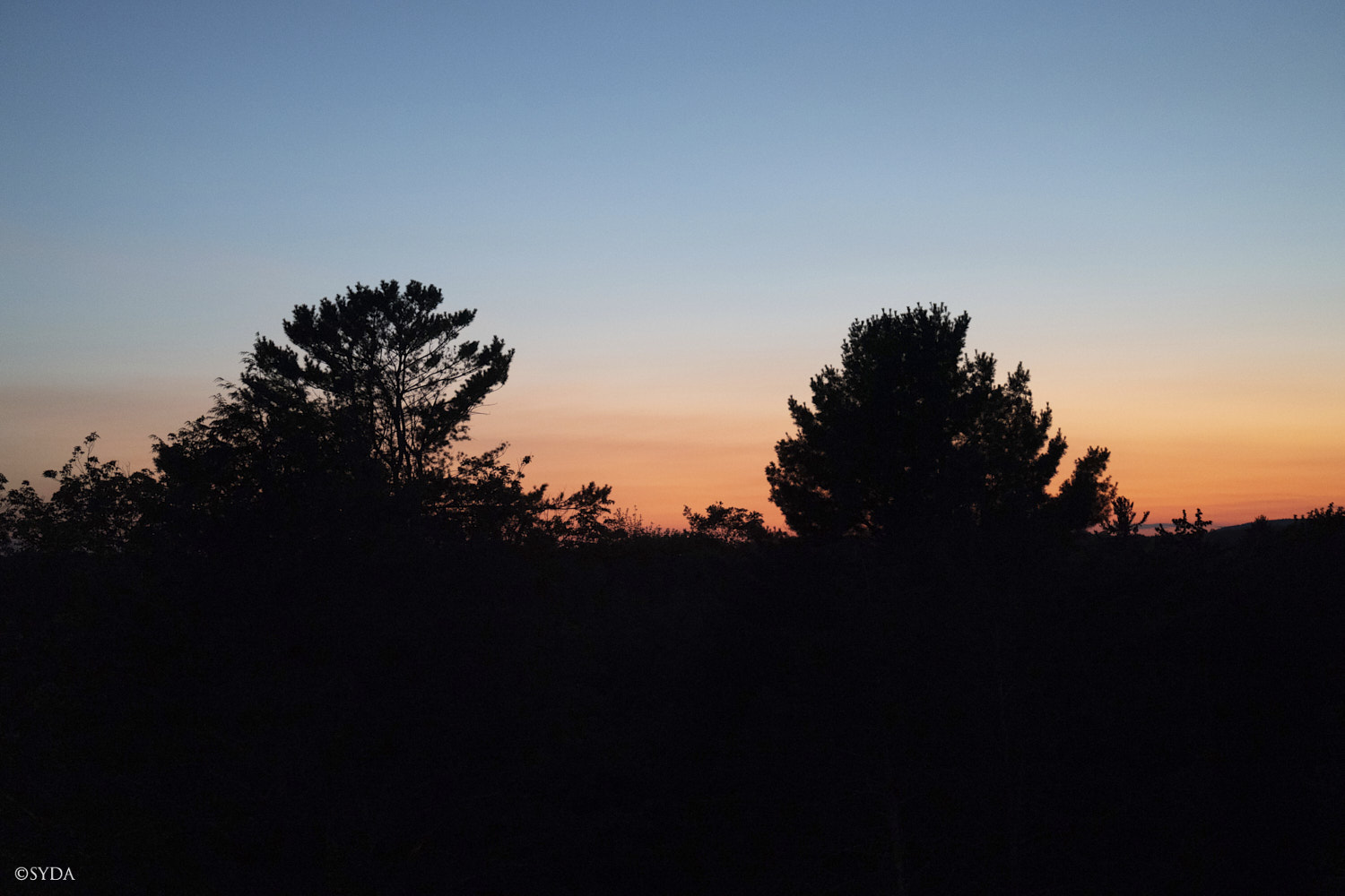 Nature Image