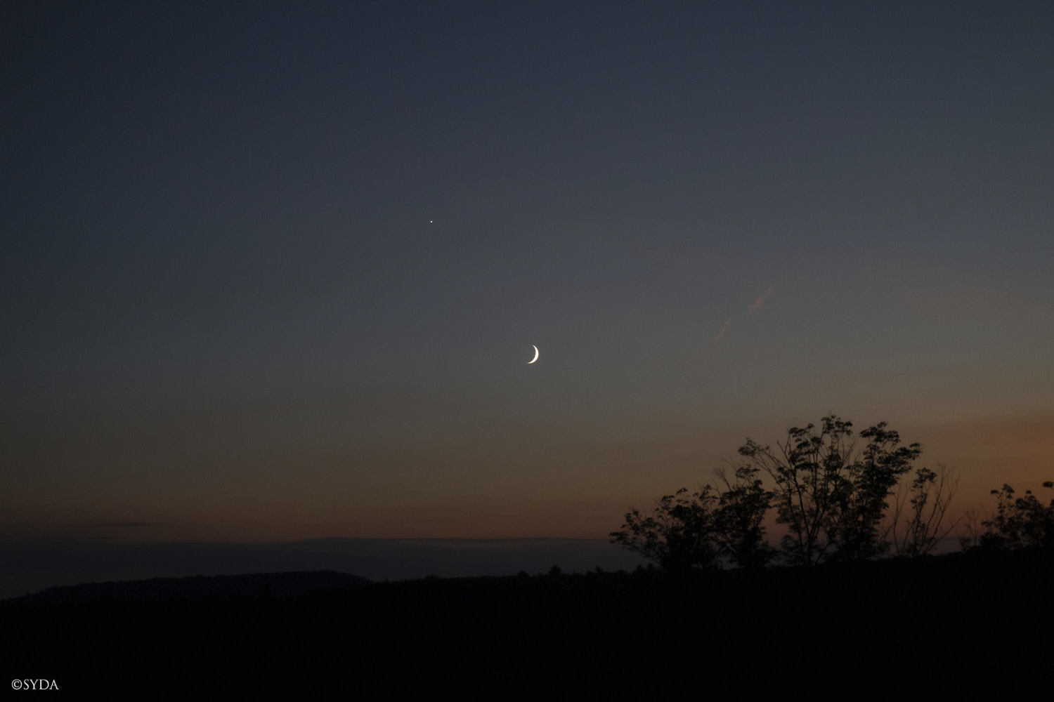 Nature Image