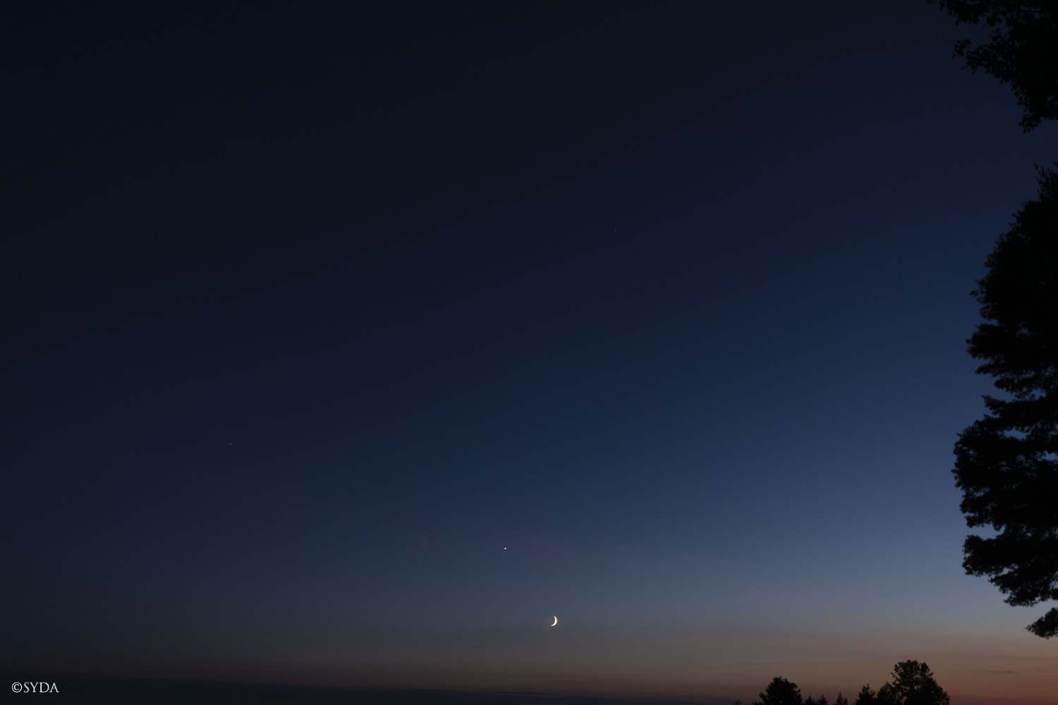 Nature Image