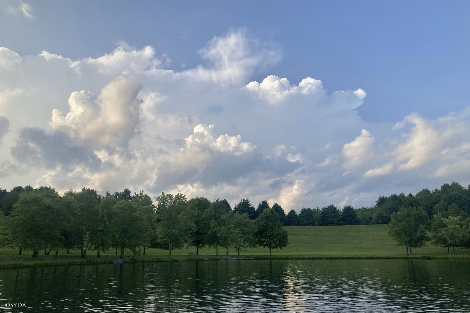 Nature Image