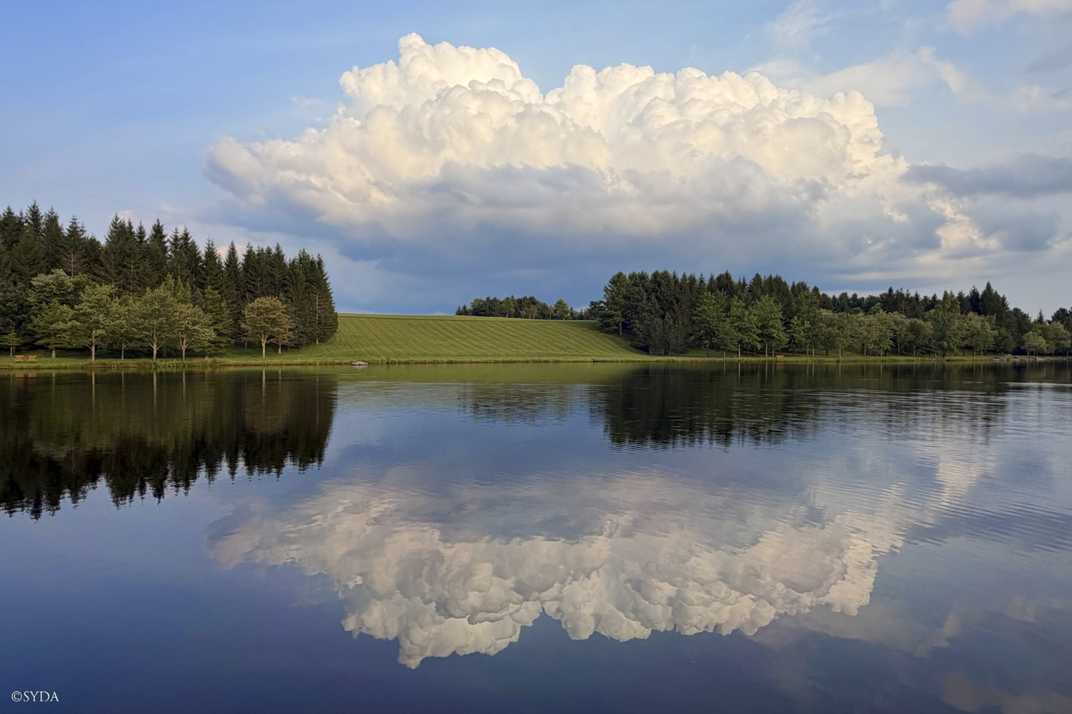 Nature Image