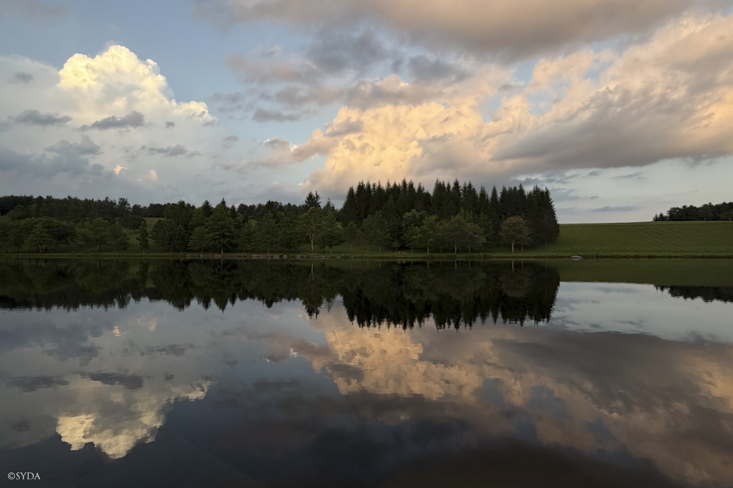 Nature Image