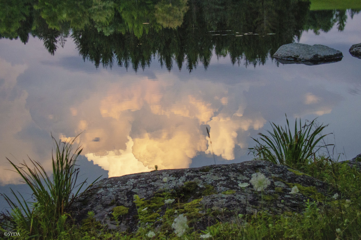 Nature Image