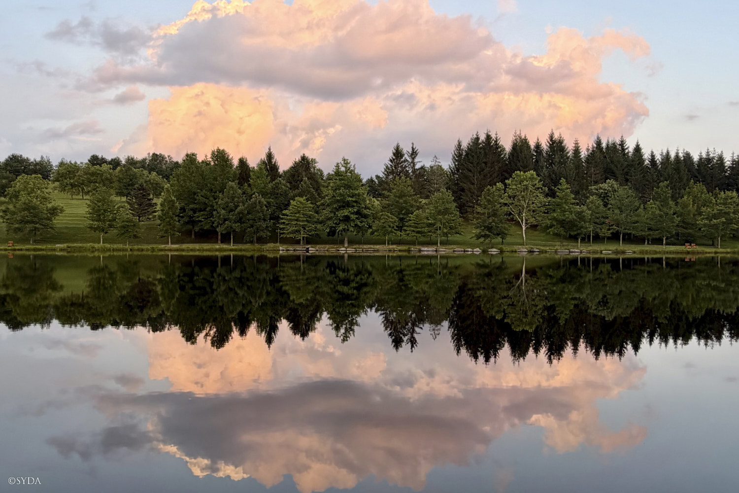 Nature Image